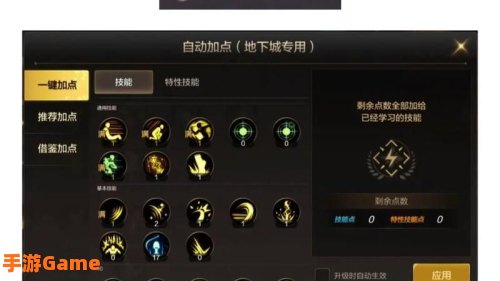 dnf女圣骑士刷图加点