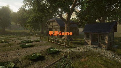 闪金镇