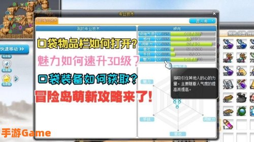 冒险岛口袋物品怎么装备
