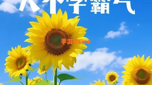 18个字
