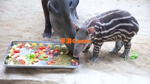 食梦貘