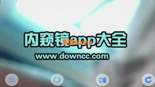 内窥镜软件