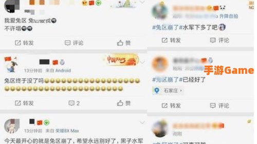 兔区是什么意思