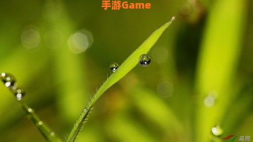 生命珠