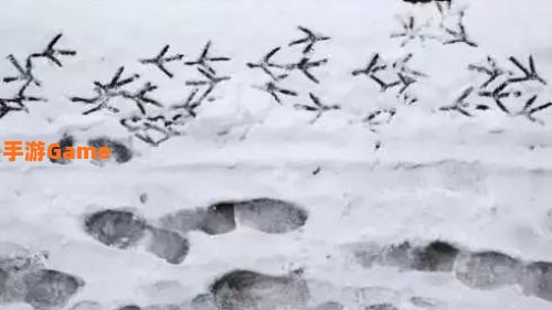 成语雪泥鸿爪是形容