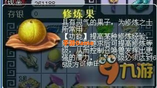修炼果